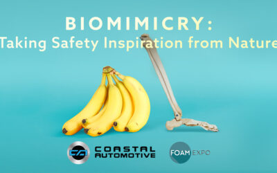 Biomimicry: How Human Bones & Banana Peels Inspire Advanced Composite Foam Structures for Impact Absorption