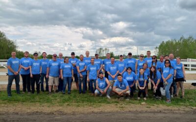 Volunteering in Holland and Rochester: Community Highlights